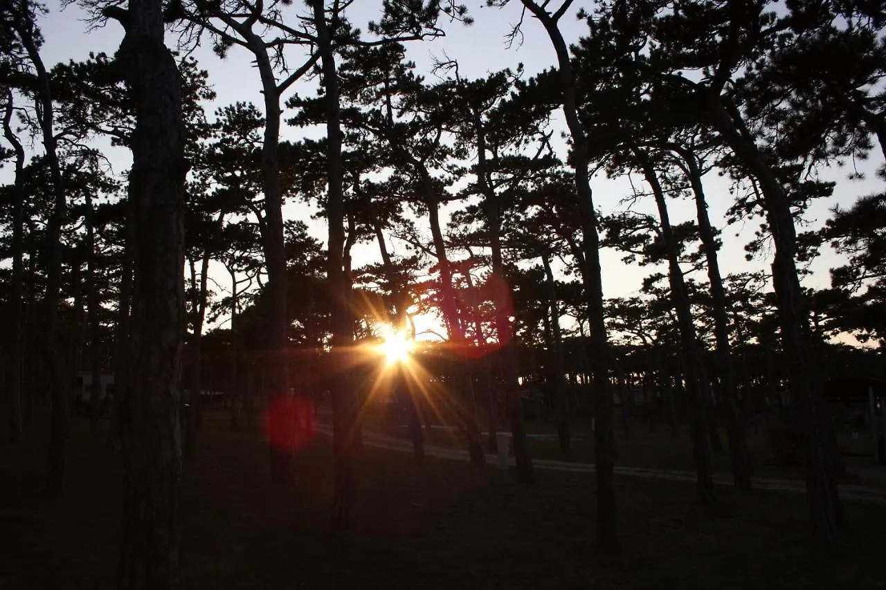 Hotel Camping Planik à Ražanac